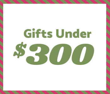 Gifts under $300 in green text