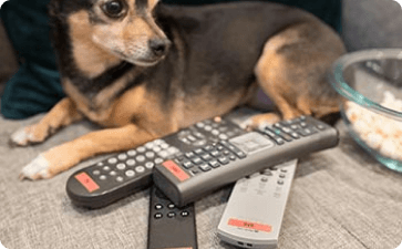 Remotes labeled with dog and popcorn bowl